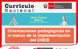 Orientaciones pedagógicas en el marco de la Implementación del CNEB