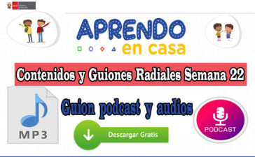 APRENDO EN CASA PROGRAMAS RADIALES Semana 22: Sesiones, Guiones y Audios
