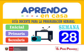 Guía docente para la programación semana 28 Aprendo en Casa del 12 al 16 de octubre