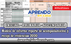 Modelo de informe reporte de acompañamiento y recojo de evidencias 2020 - INICIAL, PRIMARIA y SECUNDARIA