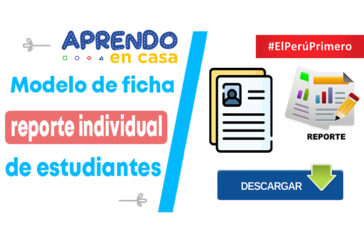 Modelo de ficha de reporte individual de estudiantes