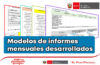 Modelos de informes mensuales desarrollados