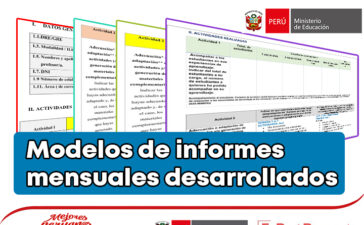 Modelos de informes mensuales desarrollados